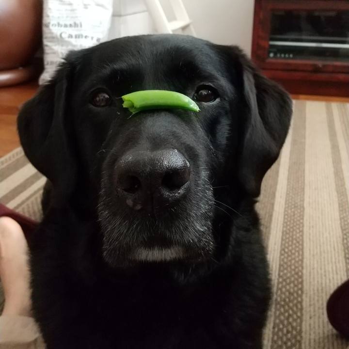 B3f56d50 a6d6 4fc4 a302 e50209c7a442 1691805942230