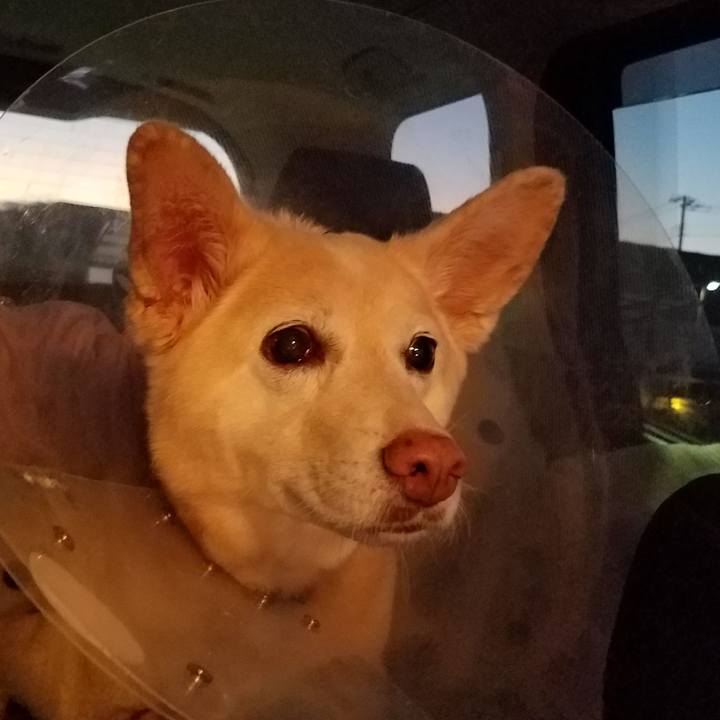 B3f5ad6a 13eb 4923 b491 23445a00515d 1544866320311