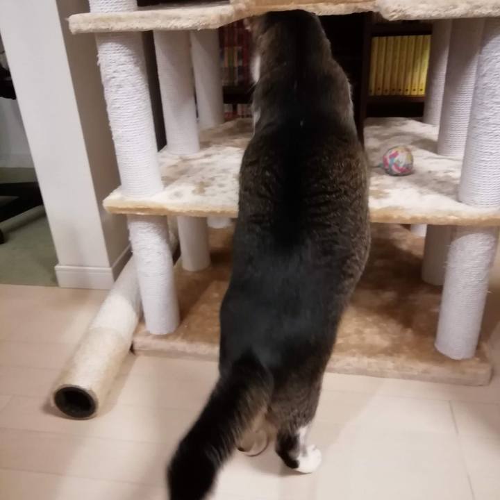 B3f5cc1a 6c0d 477a b645 40818cc7055c 1556668371560