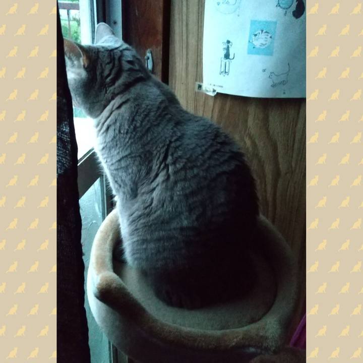 B3f62449 4063 42f0 b0d7 2df1c50bf795 1601499782617