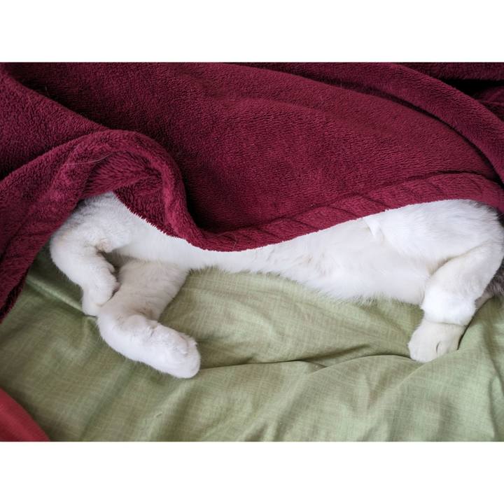 B3f62d0a cc62 4a68 9cb3 d8316daaae51 1703222947456