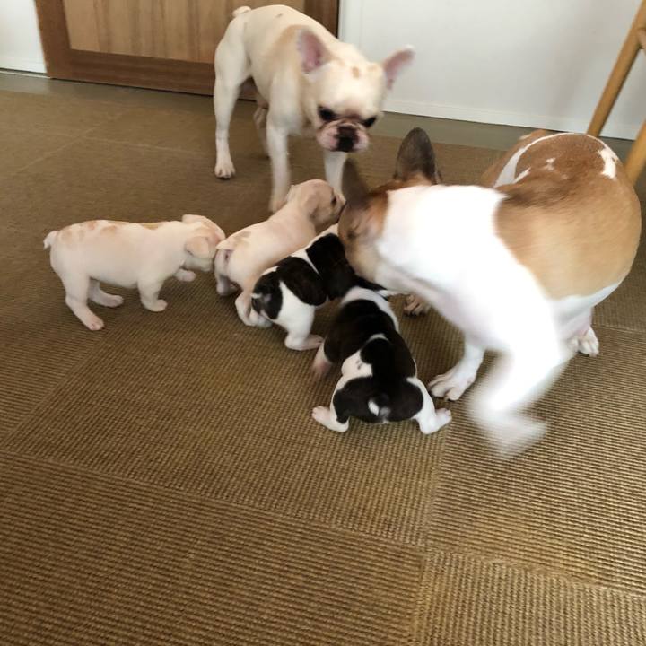 B3f64931 a1d8 4946 94d2 6e150866ee09 1592466044805