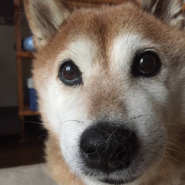 B3f669b8 570b 4148 b914 725a4d5eecb6 1534945595869