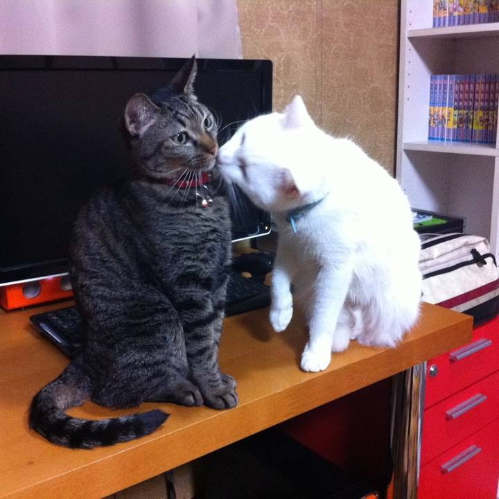 B3f6749f 662b 4563 9684 dcd89560cebb 1558592764438