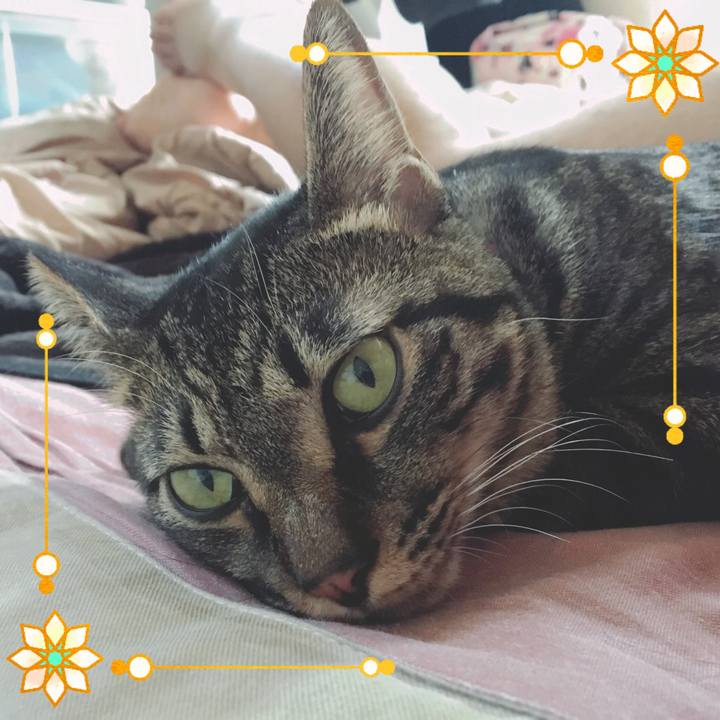 B3f68486 8a83 432d b989 f15e50b5b101 1563939377028