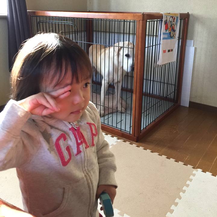 B3f692da 0531 4a9e 816c acf4969d9892 1543734298747