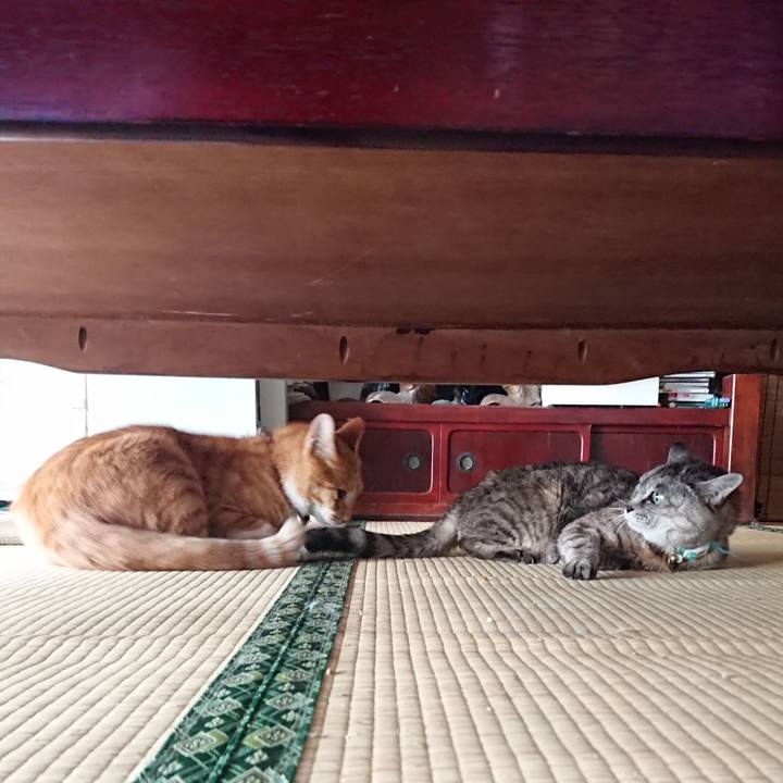 B3f6b680 3ed2 45e9 be05 13feece30bbe 1568065352772