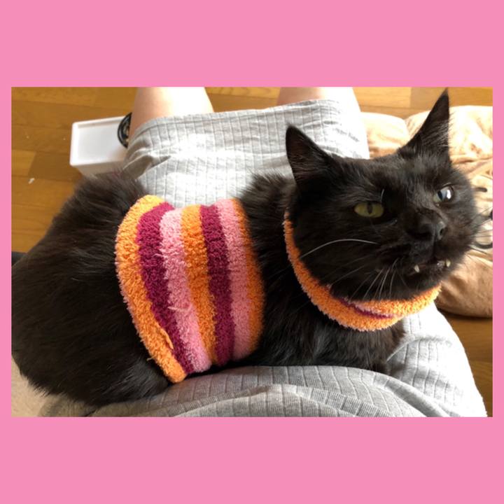 B3f6c9fd ba6e 4f3a 8525 f860d26dd620 1587974637756