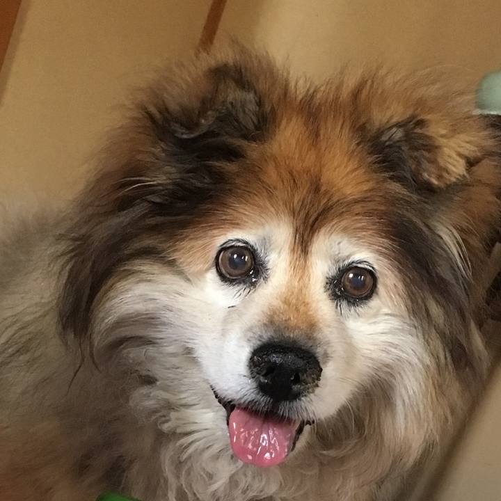 B3f705af a551 4ea4 bb5d 237b3c2db665 1574575463672