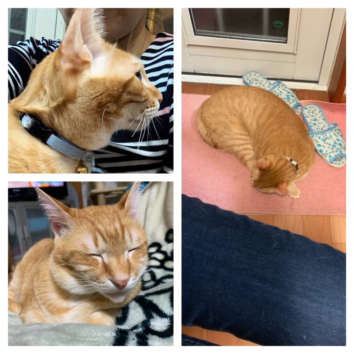 B3f79f16 357d 4e10 802a 28db8afbef16 1557069491162