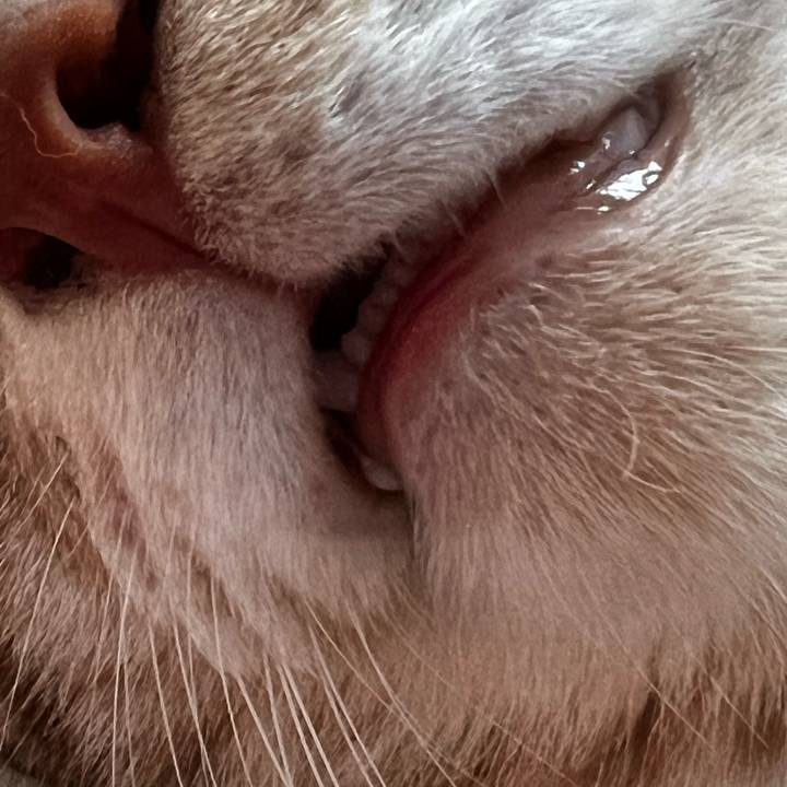 B3f7f63b 2167 4b6b bffd 33a7401c8de4 1663725850914