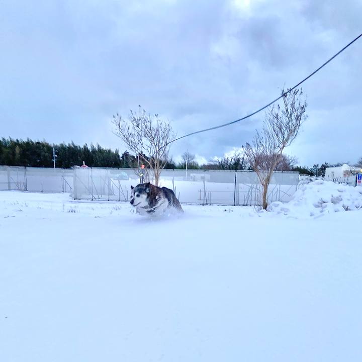 B3f8067a 1411 4c25 b08a a25c43aa7a8e 1769338954007