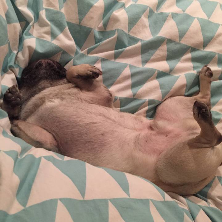 B3f813f9 60c5 4551 8697 8d75bbc5e959 1515922631787