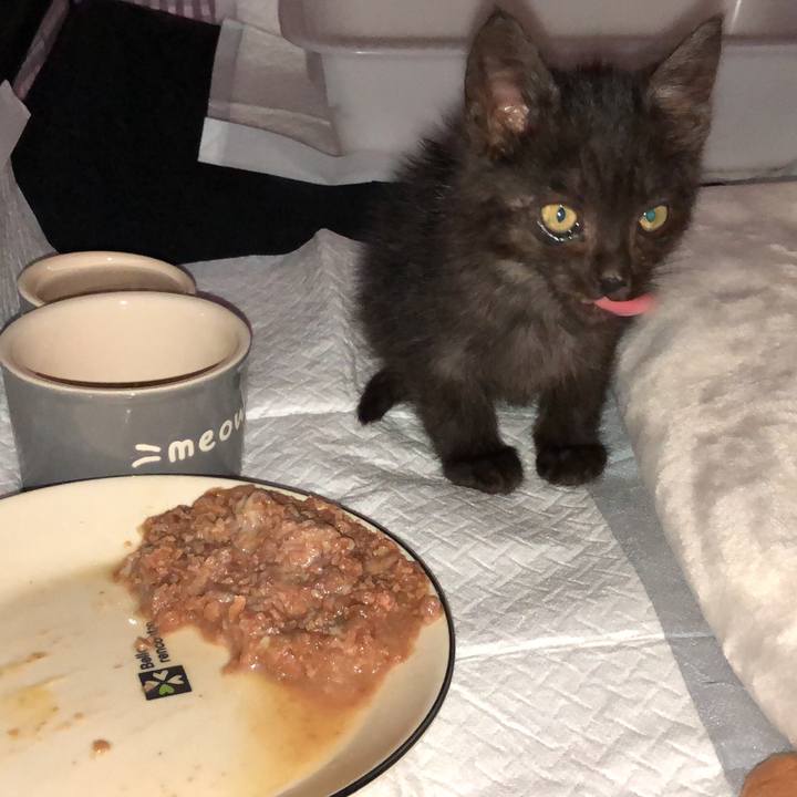 B3f86fac 1125 4aab 9273 9eeb473ad064 1603980896719