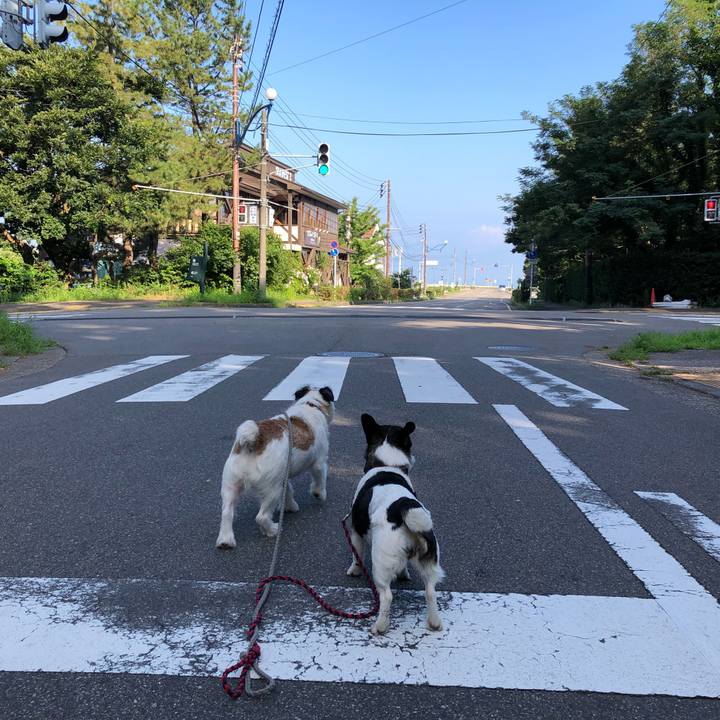 B3f8788e 62fd 4987 9eae 3cfad31dbc52 1564791977387