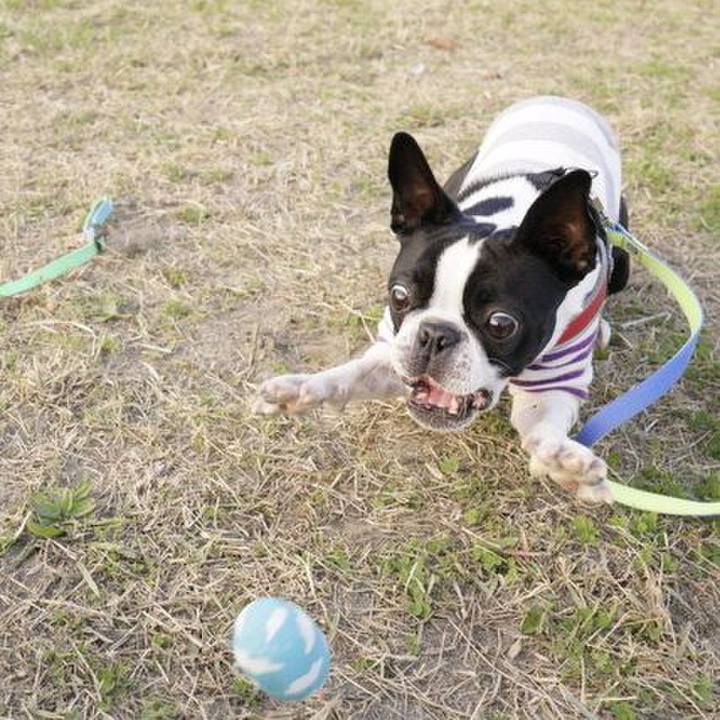 B3f89c0d cdf2 4494 b866 88a08ff298f1 1543739654493