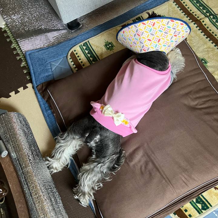 B3f8b73a 2ca1 48f6 b665 a90f99ceef6a 1713574826258