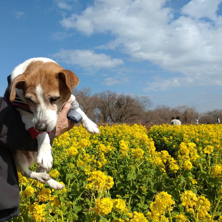 B3f8e5bf 647d 429d bc99 2cc7c1cdb98d 1771145334867