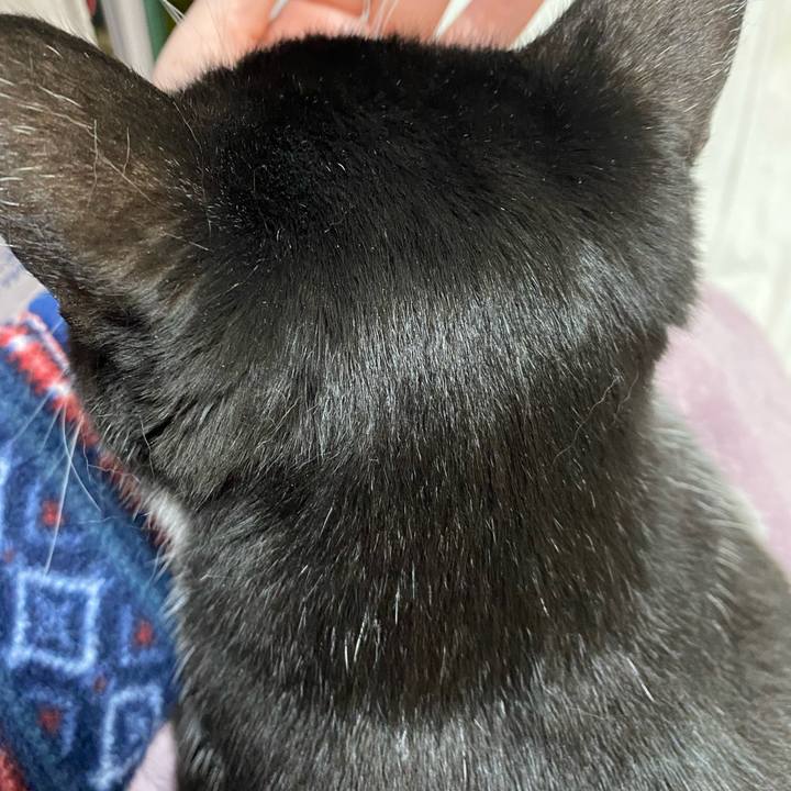 B3f8ed7a 003f 4f28 82f9 067a8fcdd282 1609426625939