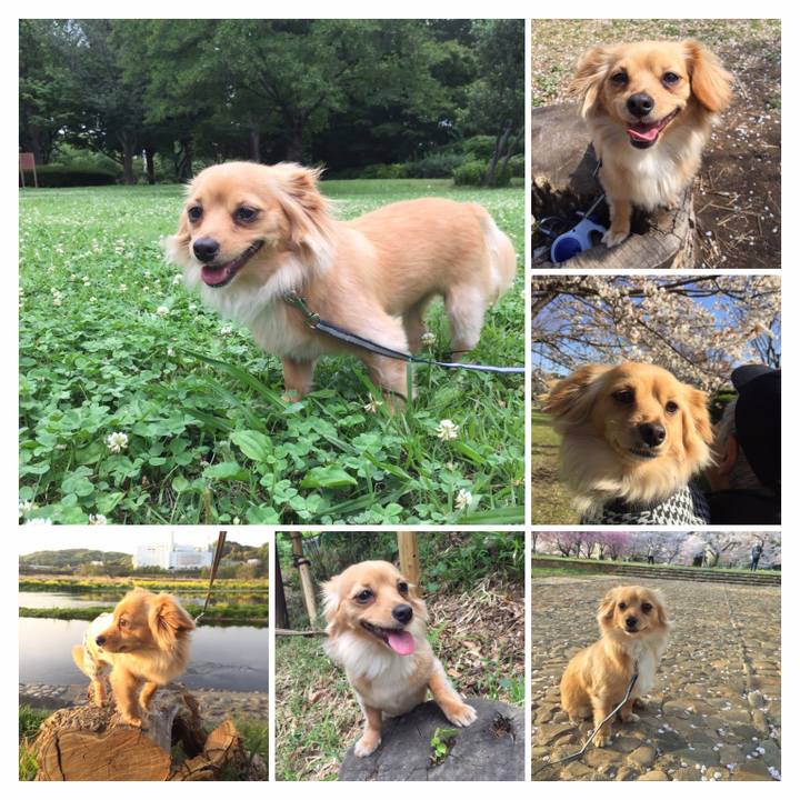 B3f8ef37 b7a6 429b b51d b72aa7490de3 1561800188838