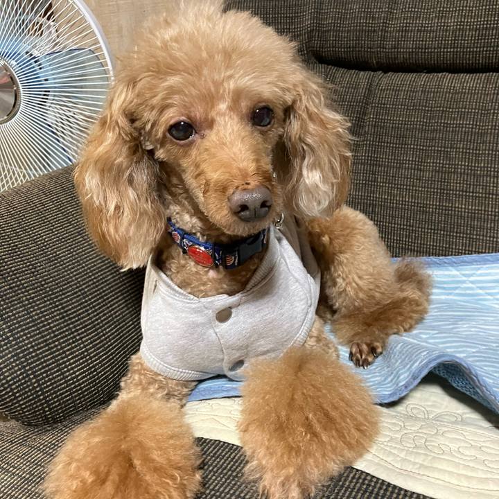 B3f91a16 4817 4f6c 8ad5 e070040b7bab 1665270227719