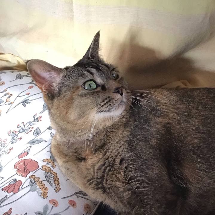 B3f97f4f c0d6 40ae 9e41 73c0c98eb703 1706606230251