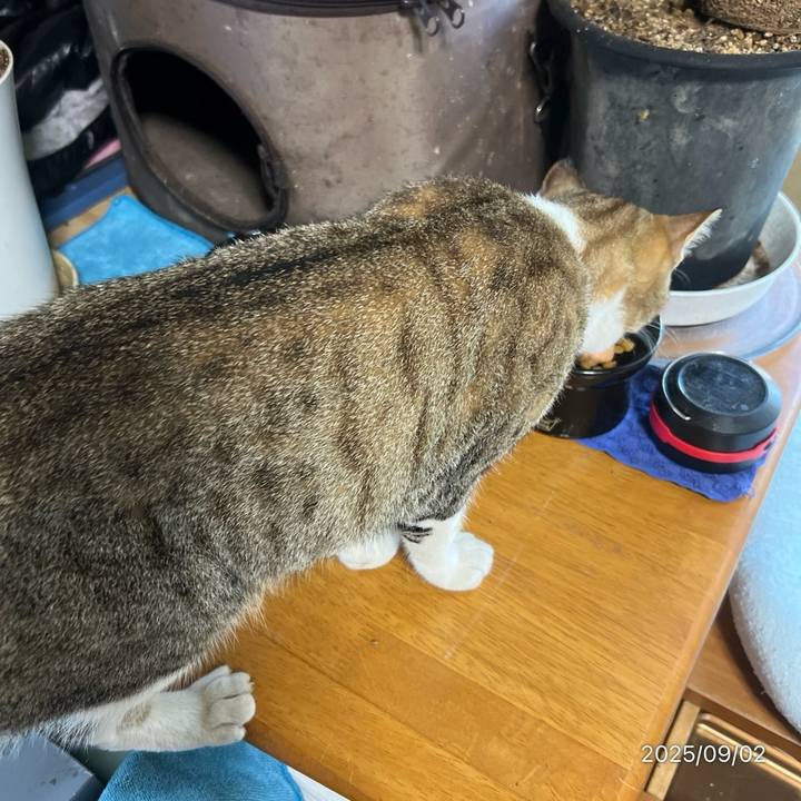 B3f9a690 5c67 4e2b b7c5 b4d7e6f08681 1756850848333