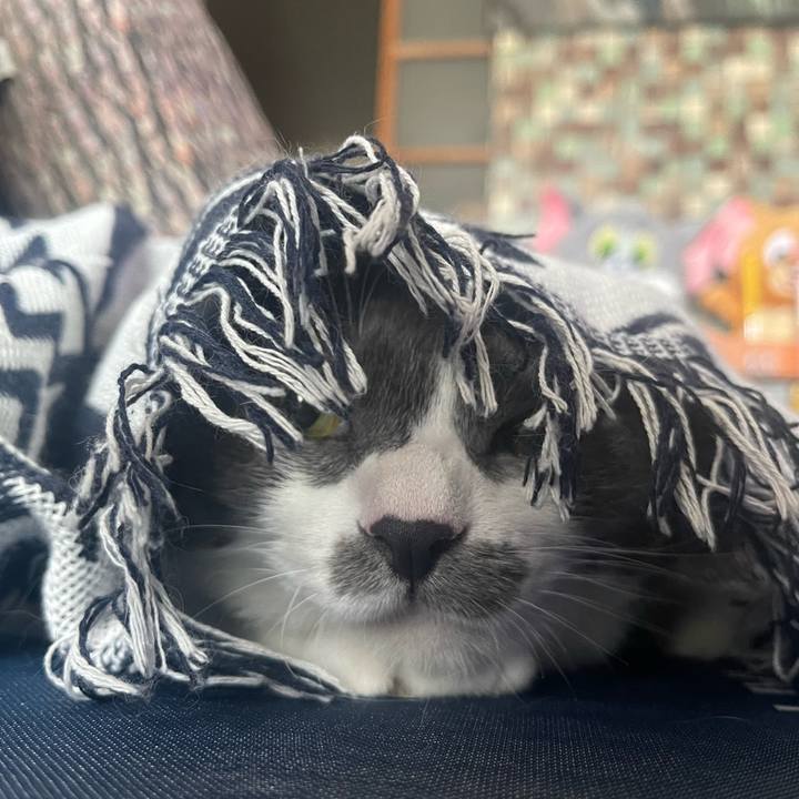 B3f9cbd4 66ff 41ea 8950 ec15a096164b 1691297979591