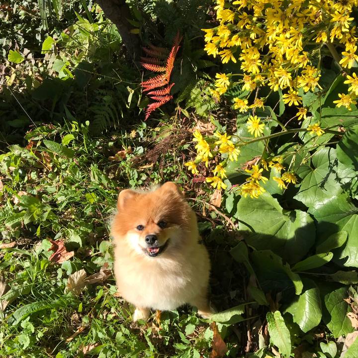 B3fa0258 fe37 404a 8759 583421b83203 1510452185427