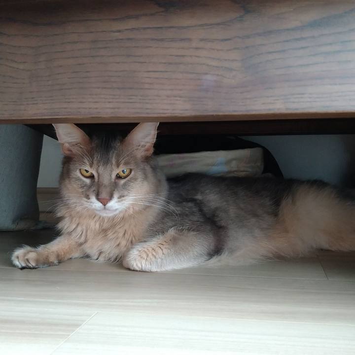 B3fa02c4 f7c2 42c2 824b 747925866135 1626324698075