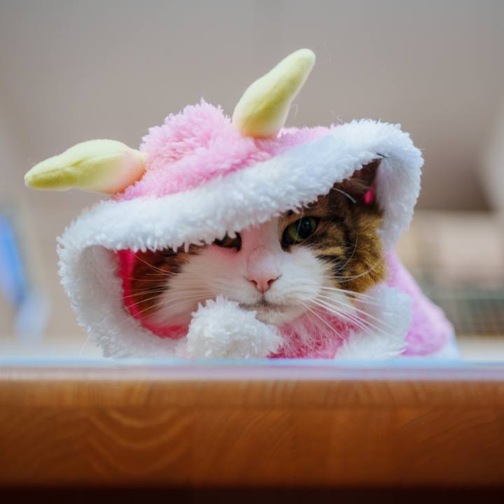 B3fa35ea 6639 469a 9a5e cc0faa4810e2 1735026423045