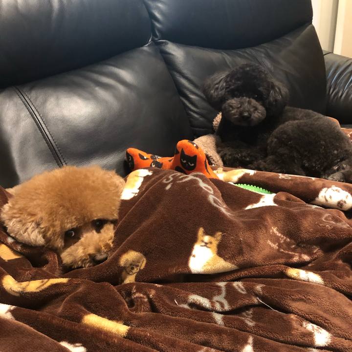 B3fa4380 fce0 4008 b503 799d9d823f93 1606391873448