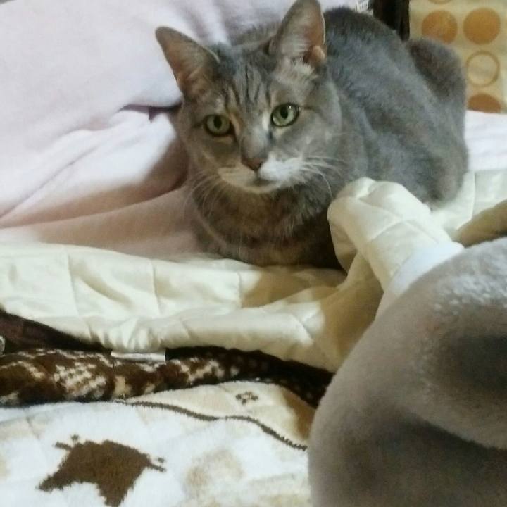 B3fa45f3 2354 41c8 b114 c538b3d08cb8 1580297260376