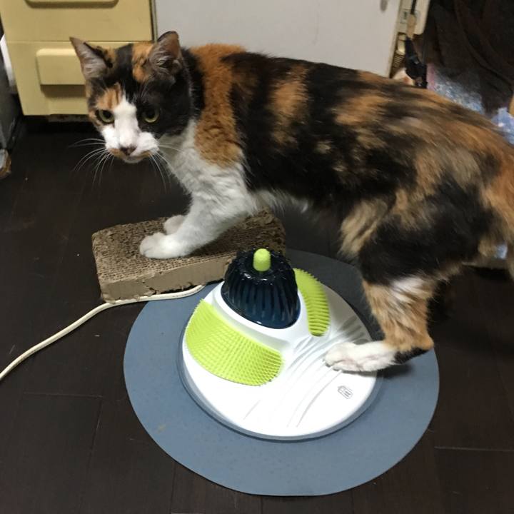 B3fa7494 fdd4 4511 b19d 0ea6885f788f 1531793327123