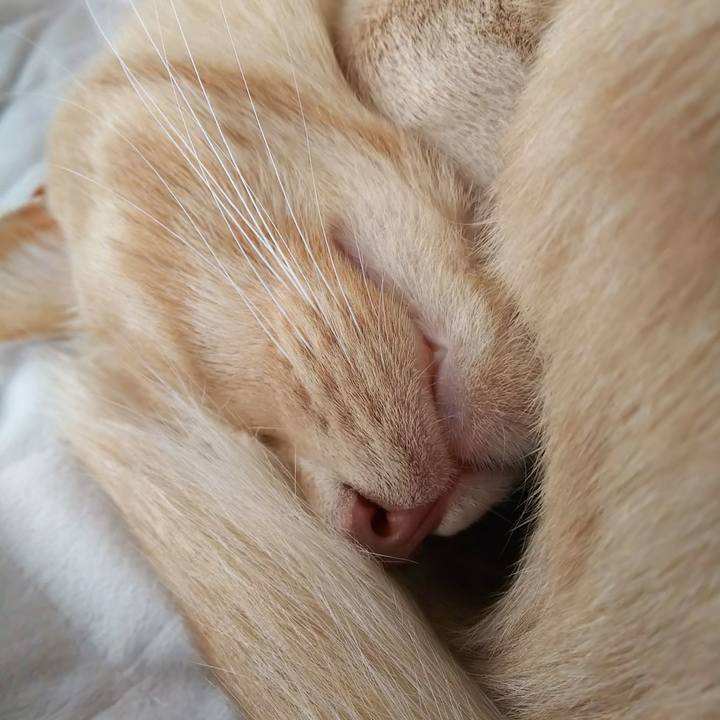 B3fa8f59 182e 4365 8480 77d72a85d663 1599946744538