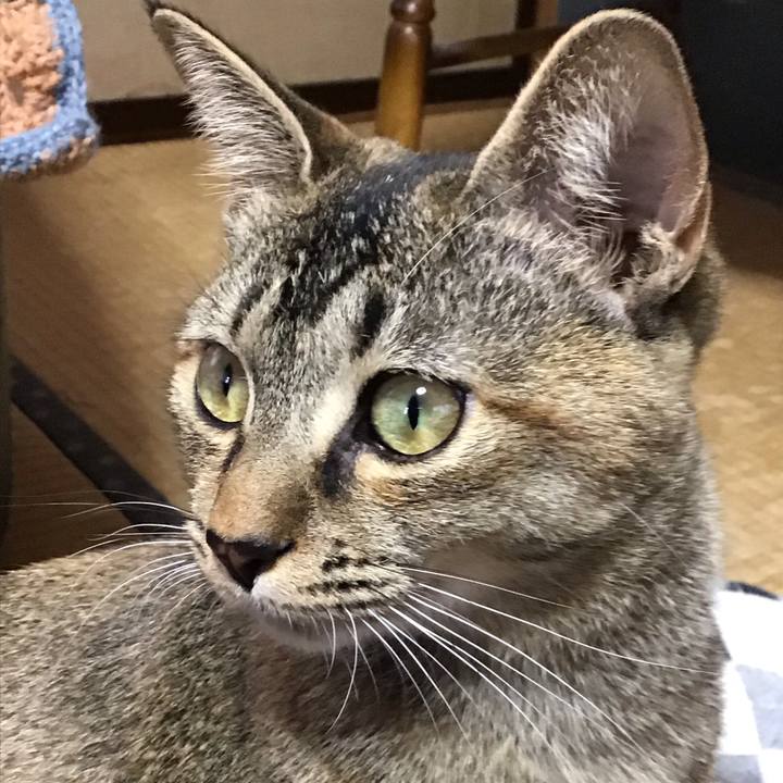 B3fa9e6a a5aa 44ab b266 5552a1f5c40a 1576747287326