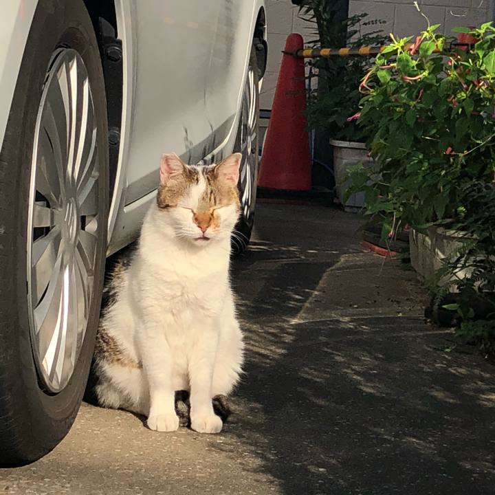 B3faaf62 8751 4df8 8b0a 297ae2edcf00 1537432247637