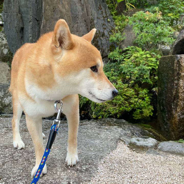 B3fab776 dd69 49ad aefb a6314ce3b288 1688619347514