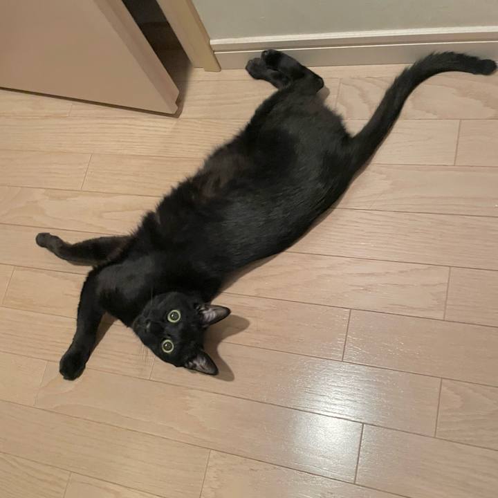 B3fb0063 b644 45c4 b94d 23acb8ac4b5b 1659176166085