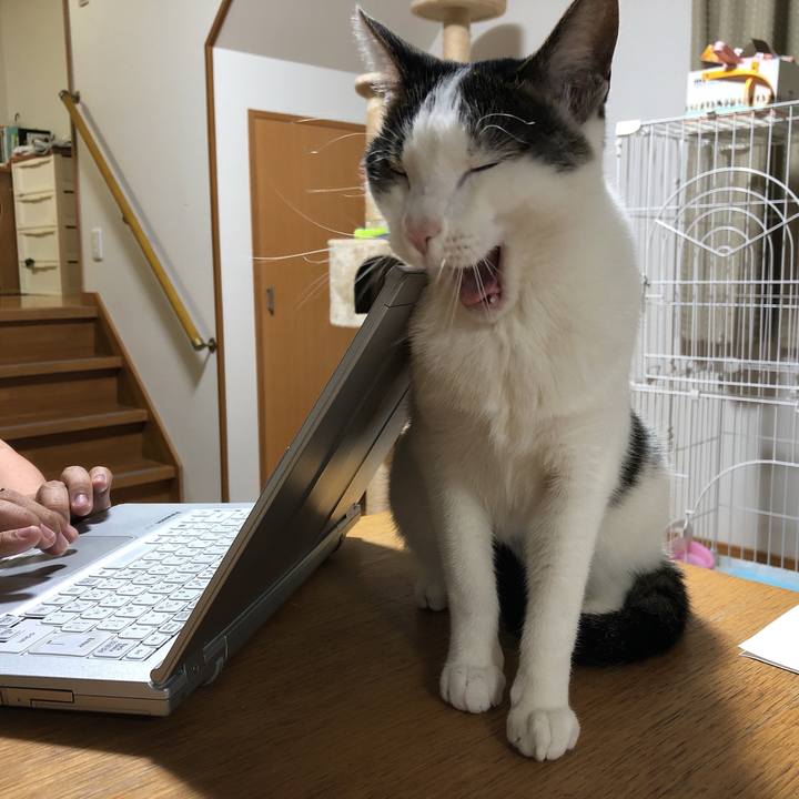 B3fb18f0 d0b4 4346 89c9 d50a93851ce1 1622636306304