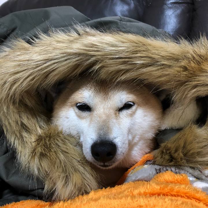 B3fb2e58 7e44 4d39 8eb7 0d78efa6bd78 1551959059491