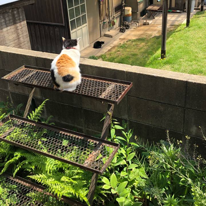 B3fb7097 0ec9 44d3 abbc 6589552e394a 1618399964085