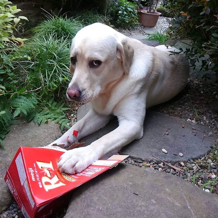 B3fb9303 8adb 4ec0 a6b0 c8e00e829038 1510384855057