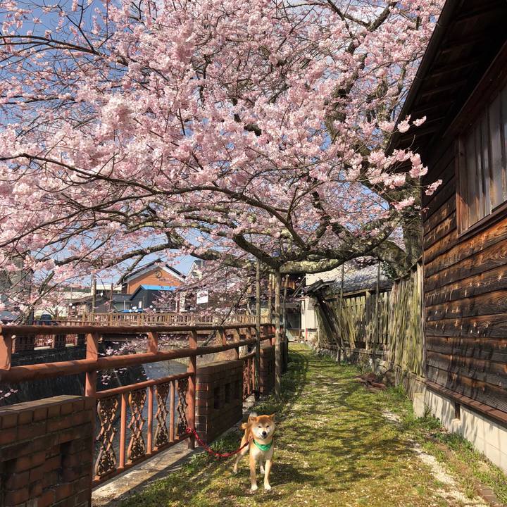 B3fba237 d360 402d a3c2 dcdf0ebf82c8 1522582937586