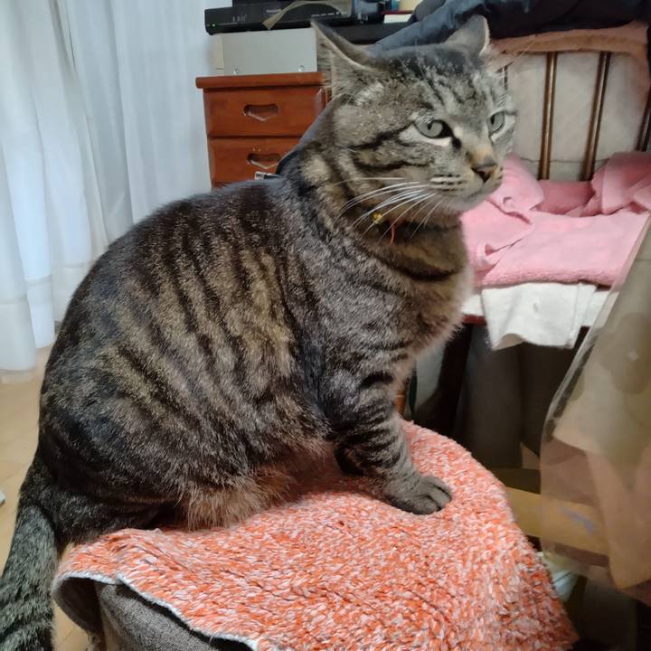 B3fbb3fe fa37 47bd a515 8682138bb3a4 1682722096140