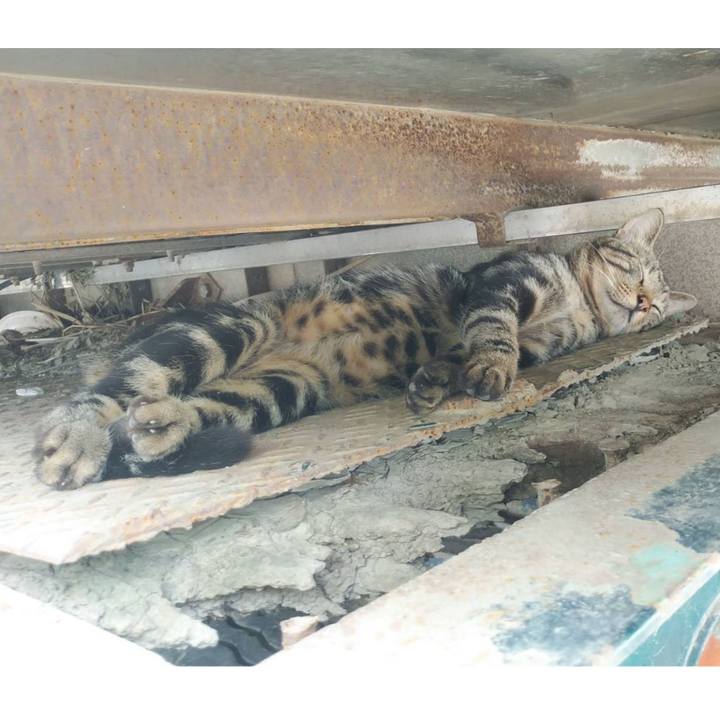 B3fbbf54 7737 41c7 9731 252b09e6e5f2 1596775007750