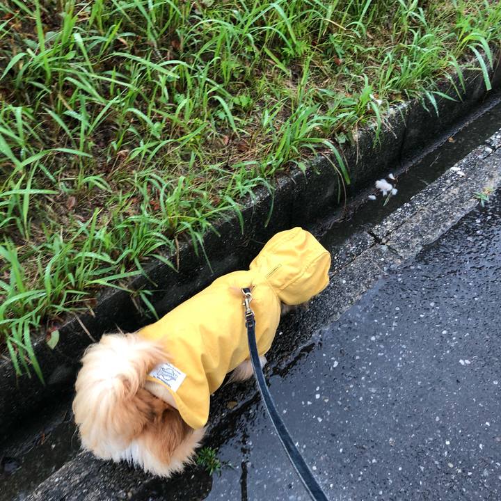 B3fbfcfa b947 4972 b25e 3c30340579f1 1560035808196