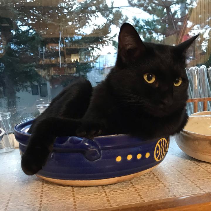 B3fc1509 4b8e 4d26 b7aa 53c3dd517a06 1605872326702