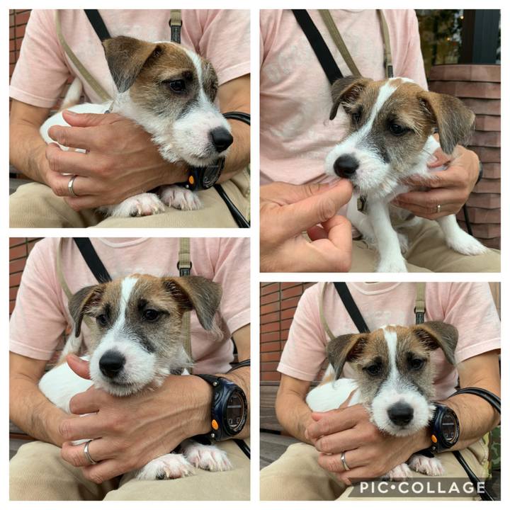 B3fc7b6b 5687 4ec7 bb25 89914043d75e 1561278910405