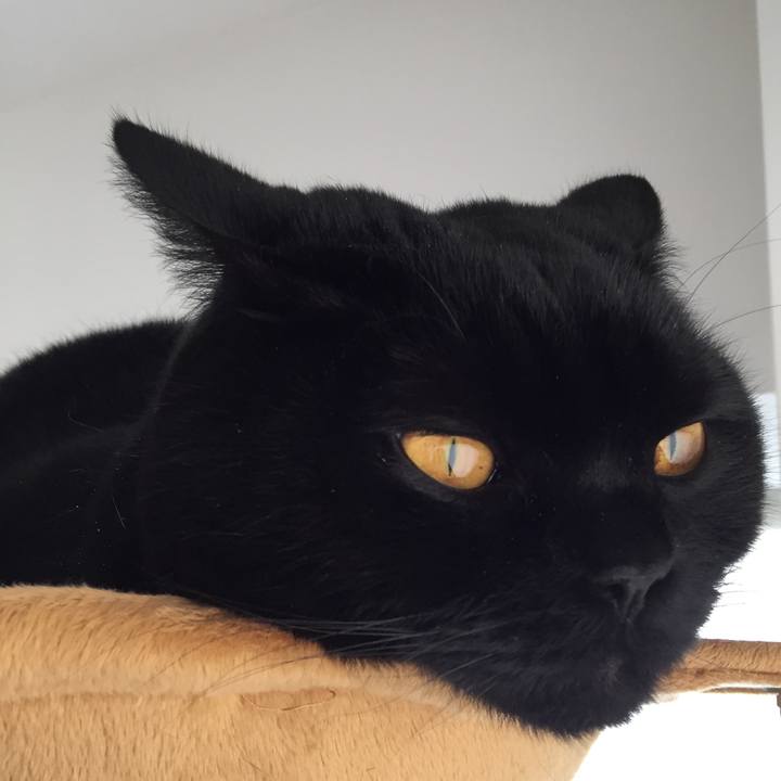 B3fcac43 8295 446a 9c2f 63abdd149fd1 1583297788092